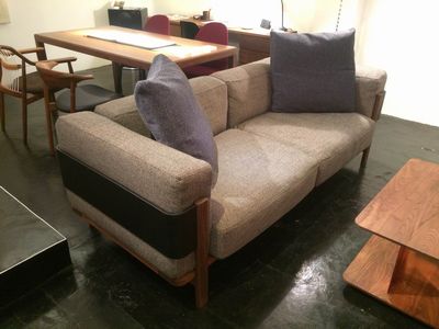 arnica sofa